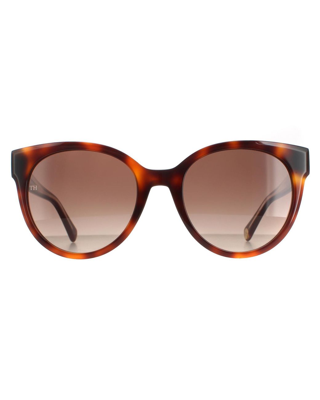 Tommy Hilfiger Brown Cat Eye Havana Gradient Th 1885/S