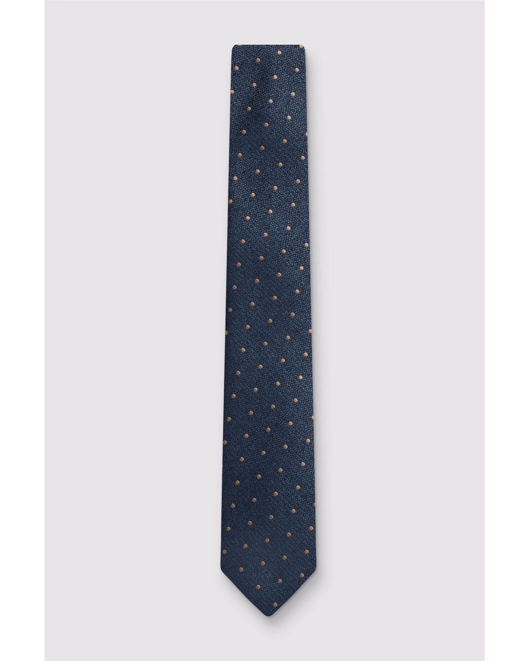 Antique Rogue Blue Spots Tie for men
