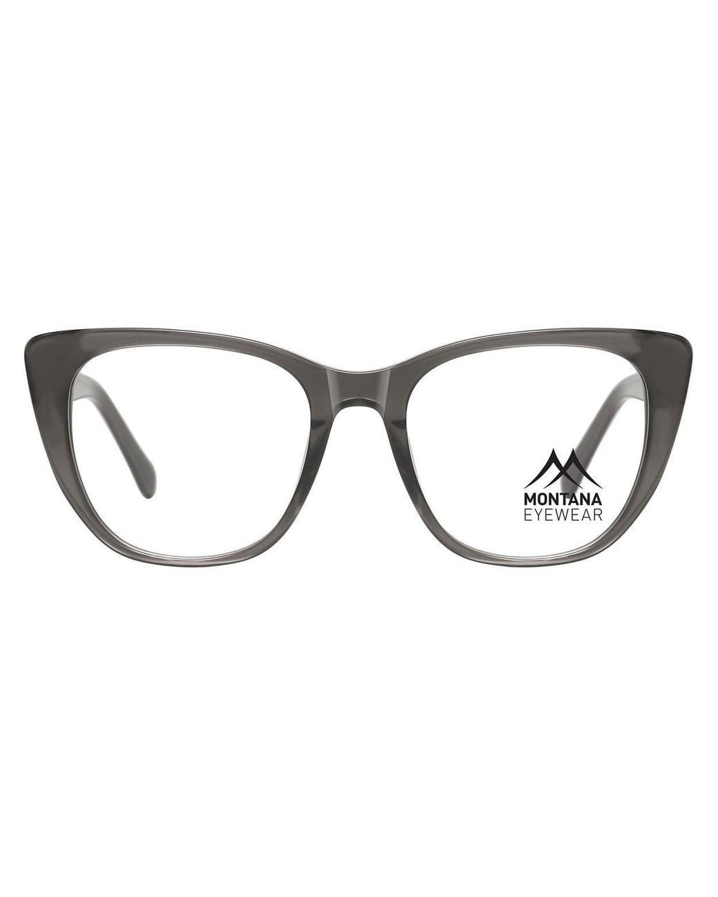 Montana Brown Butterfly Shiny Ma35