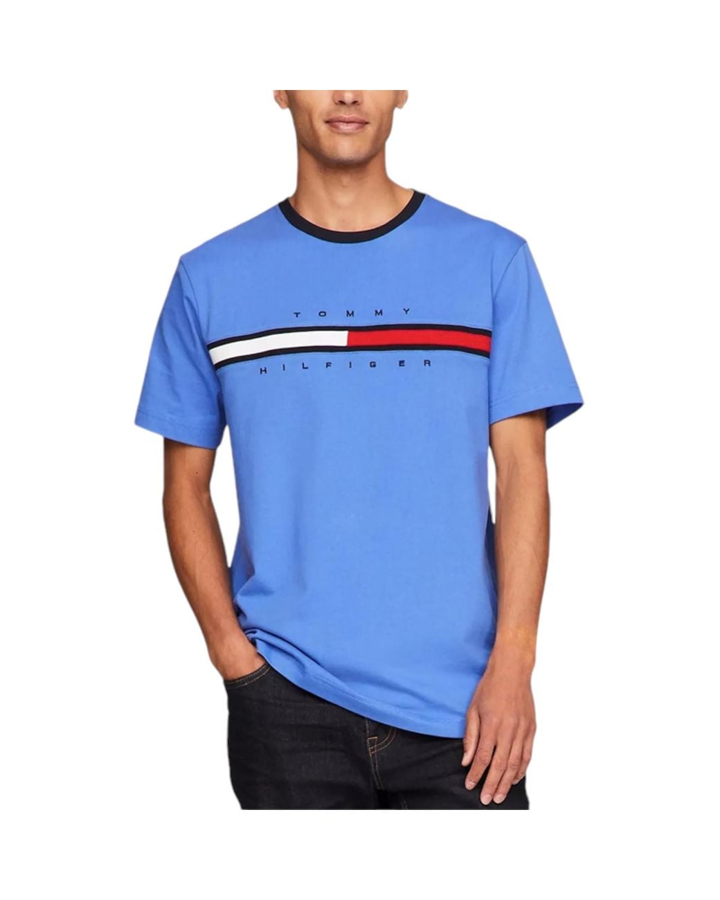 Tommy Hilfiger Blue T Shirts Signature Stripe Tee for men