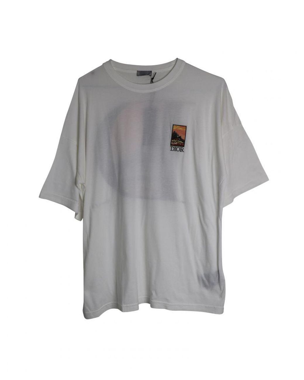 Dior White Mount Zion Graphic Print Crew Neck T-shirt in Grey for