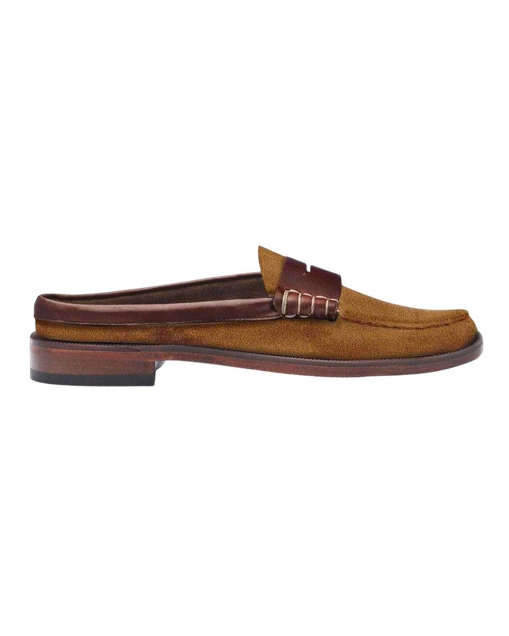 Sebago Brown Ladies Dan Suede Loafers (Golden/Dark)