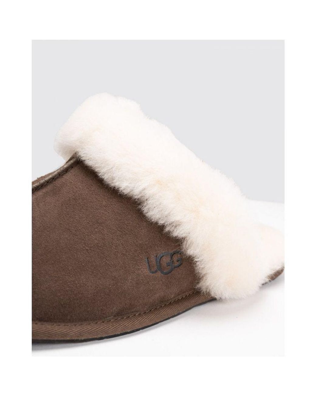 Ugg Brown Classic Scuffette Slippers