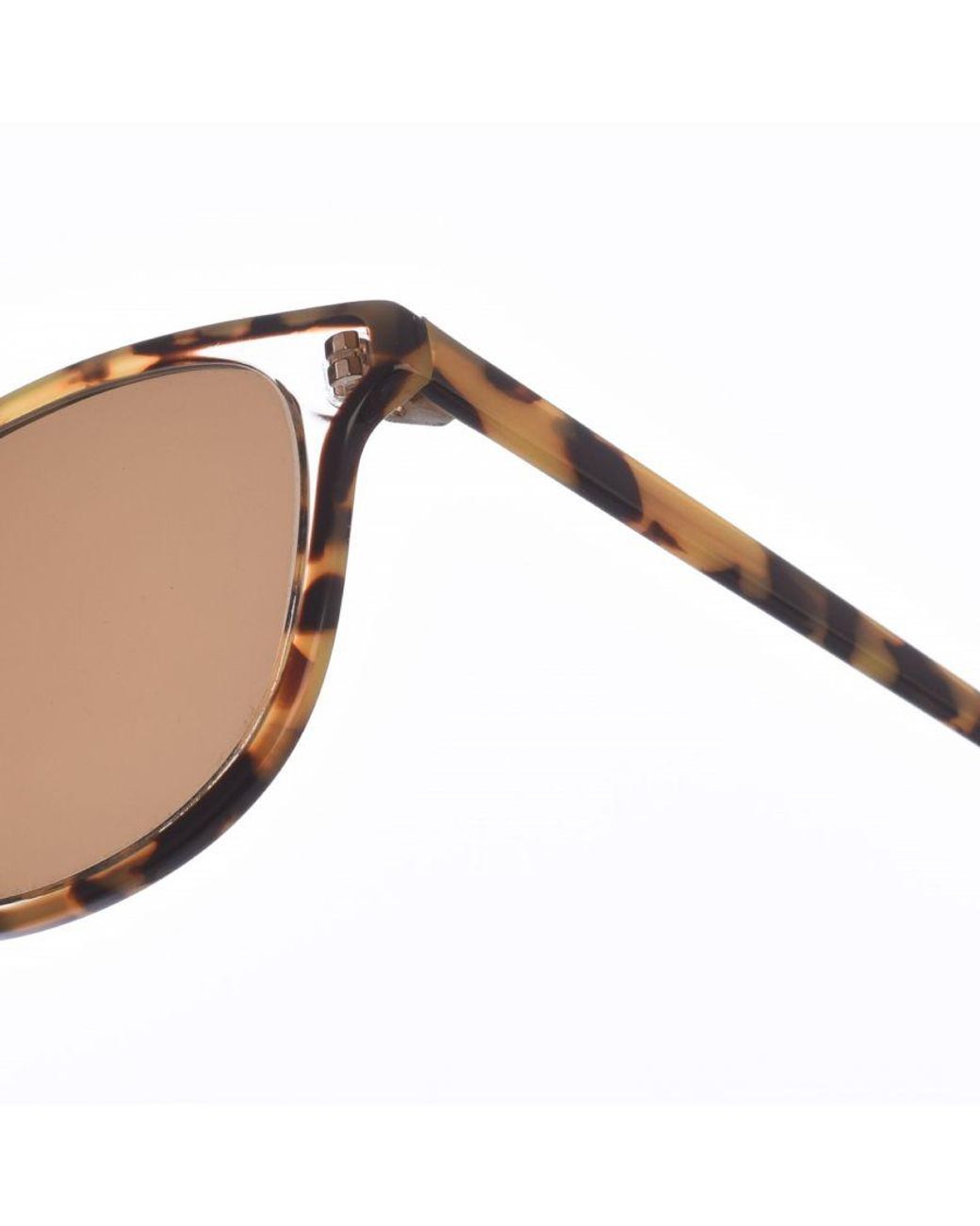 Zen Brown Z489 Square Shaped Acetate Sunglasses