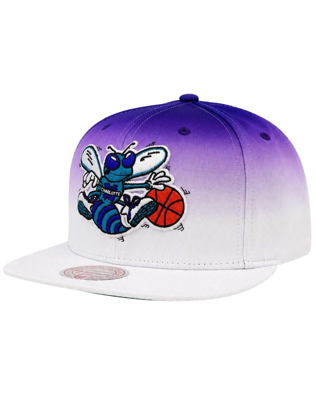 Mitchell & Ness Blue Nba Charlotte Hornets Color Fade/ Cap for men