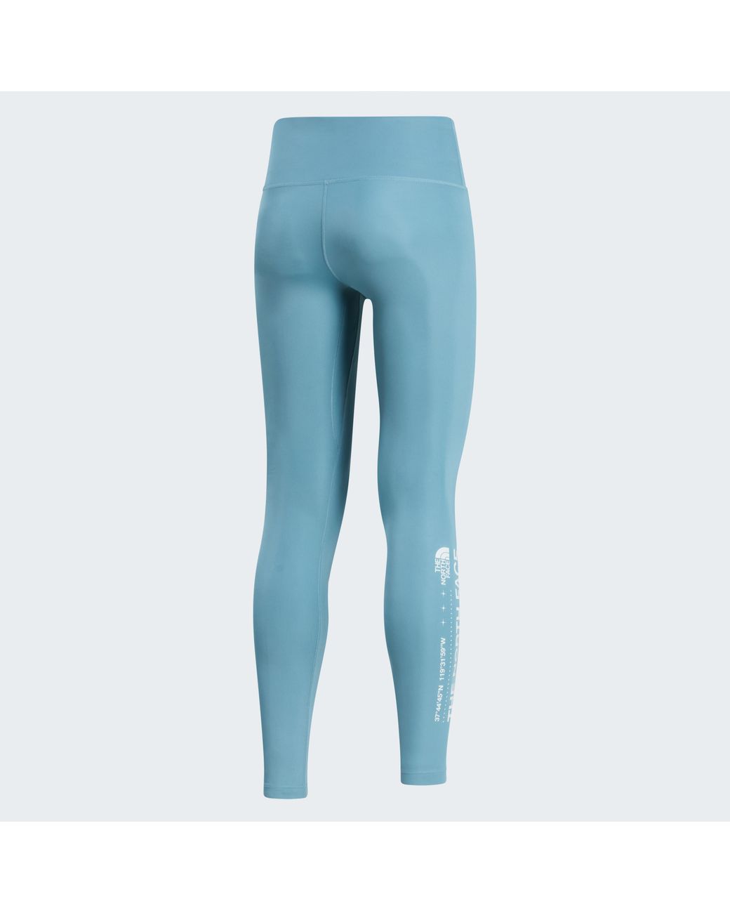 The North Face Blue Performance Graphic Leggings Tnf