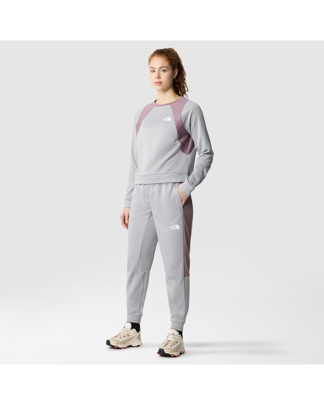 The North Face Gray Ma Fleece Pant