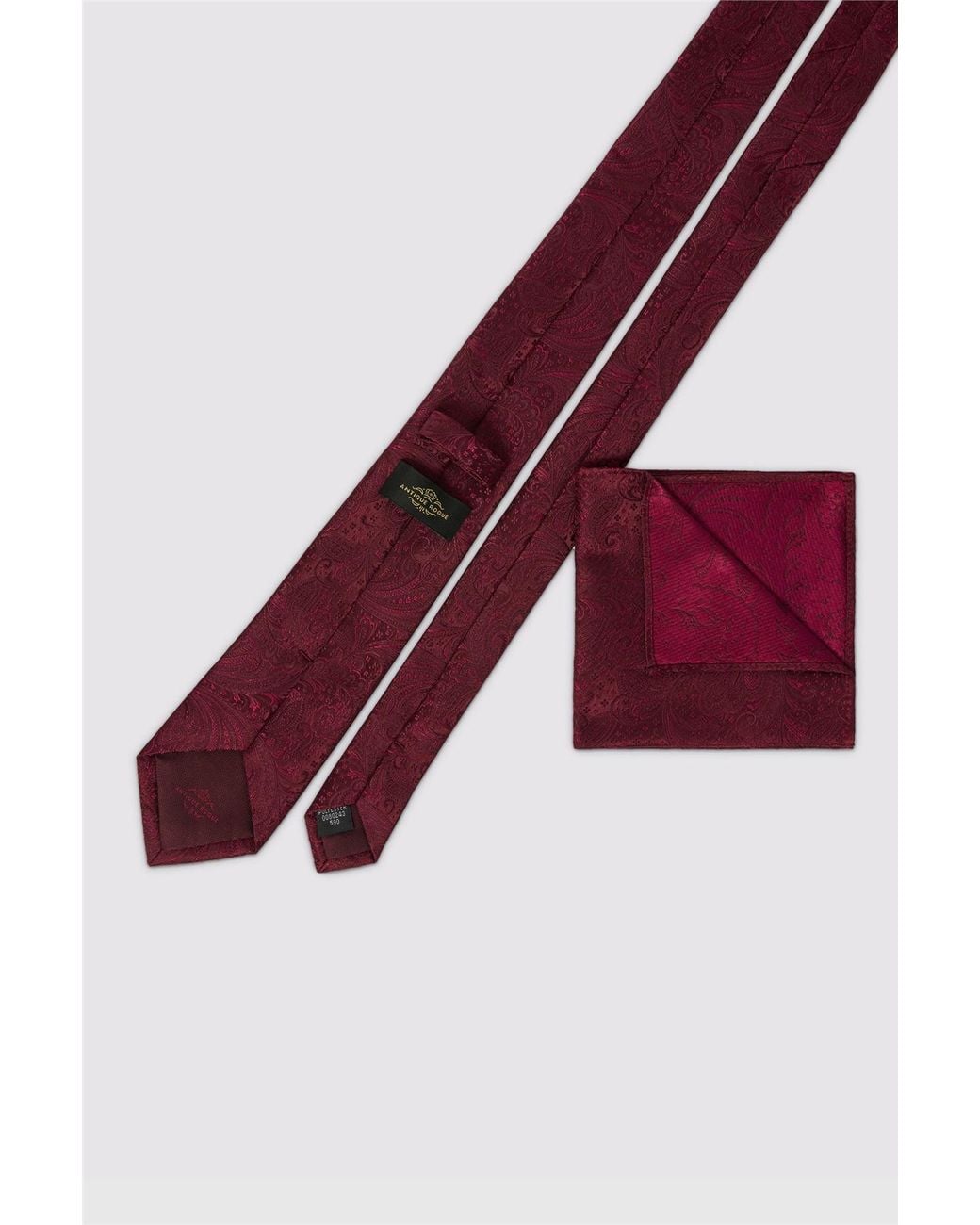 Antique Rogue Purple Paisley Tie for men