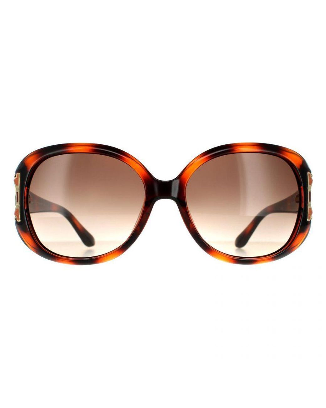 Ferragamo Brown Oval Tortoise Gradient Sunglasses