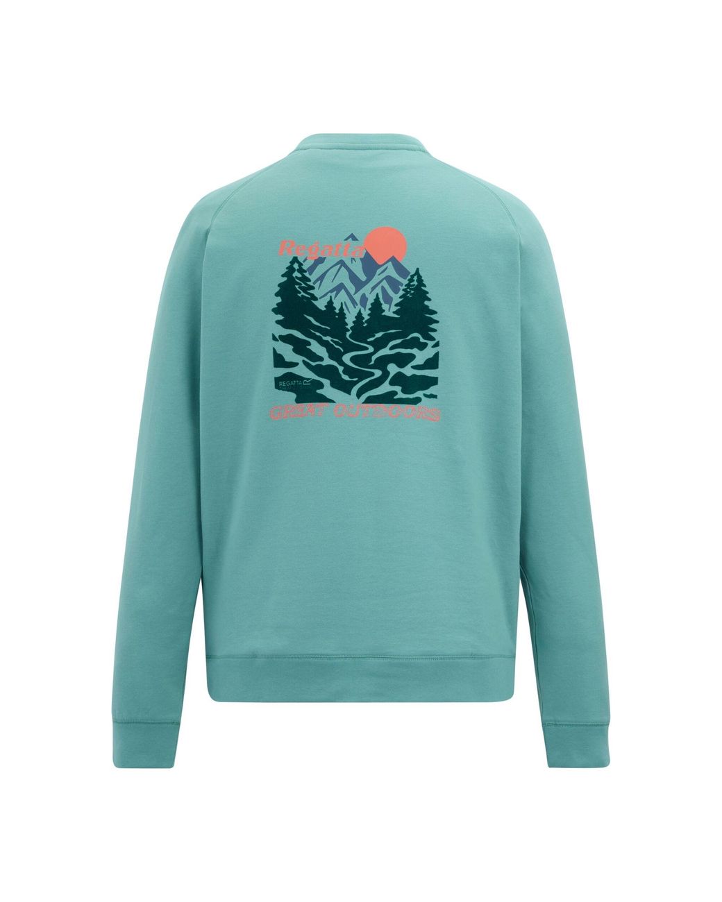 Regatta Blue Nithsdale Back Print Sweatshirt (Arctic) for men
