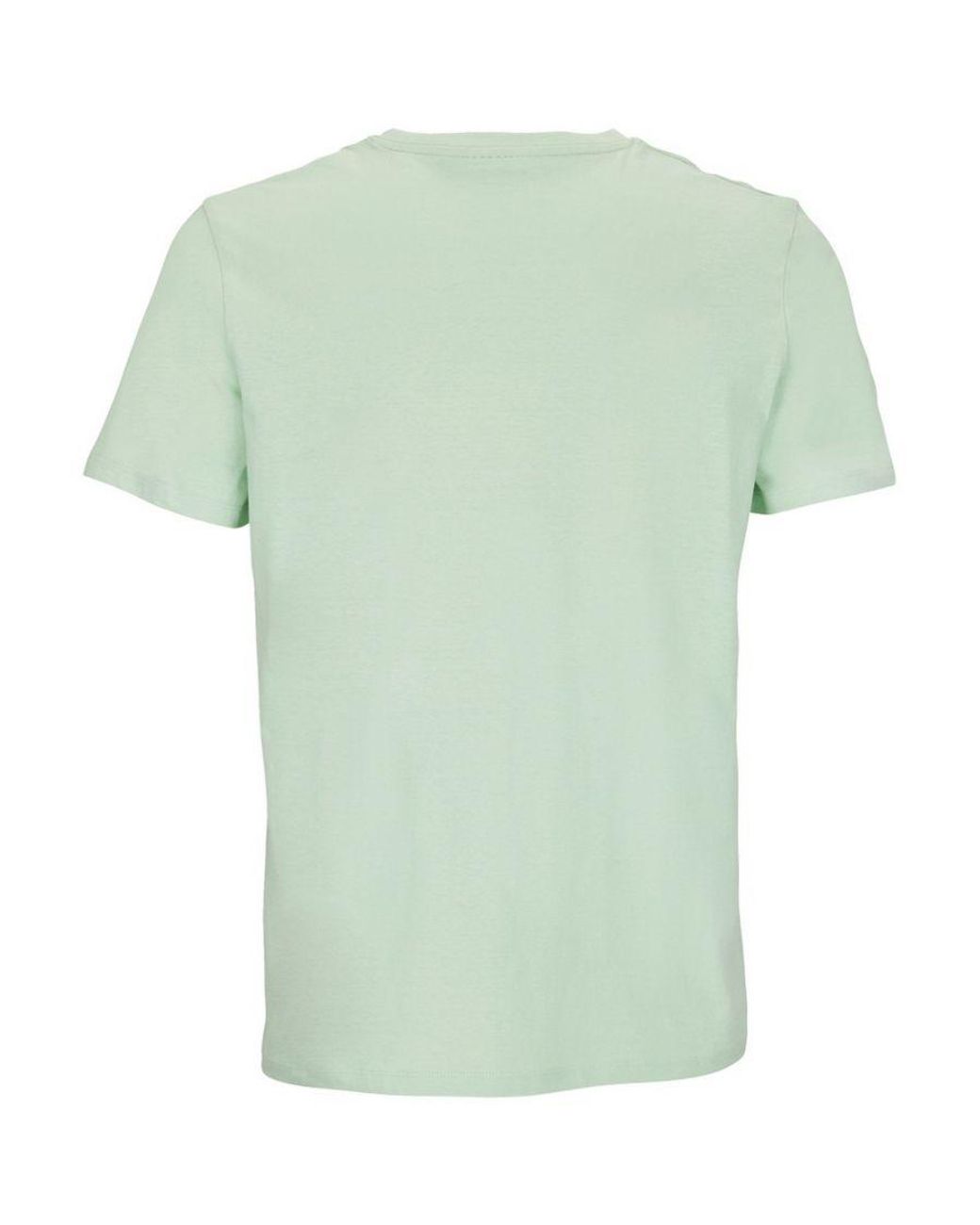 Sol's Green Adult Legend Organic T-Shirt (Frozen)