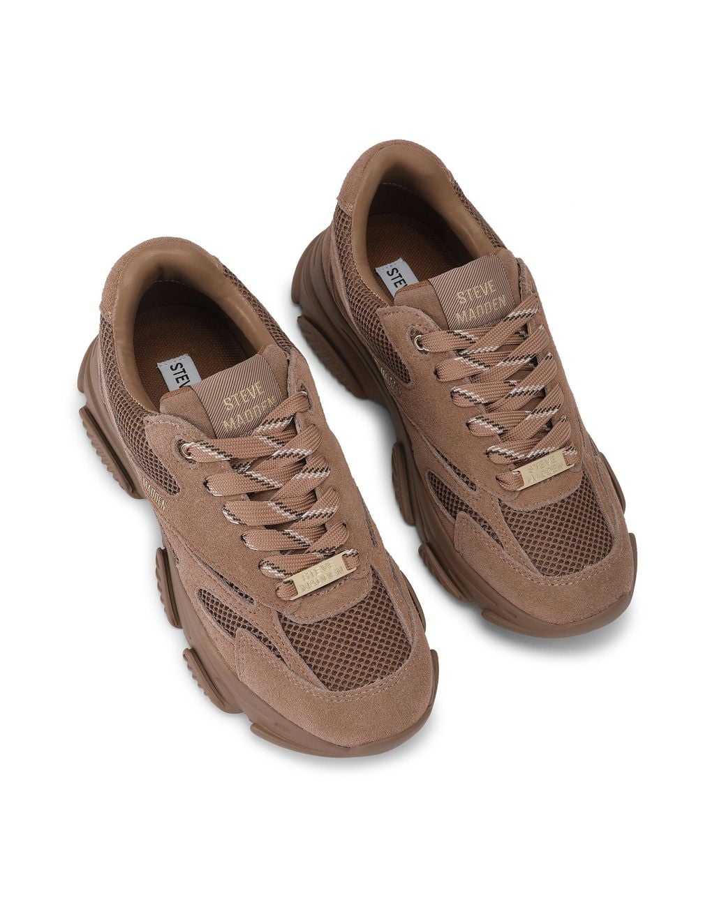 Steve Madden Brown Suede Front Row Sneakers