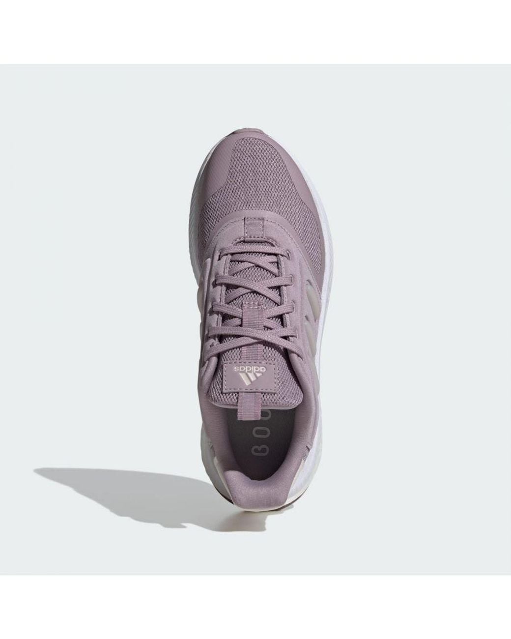 Adidas Purple X_Plrphase Shoes