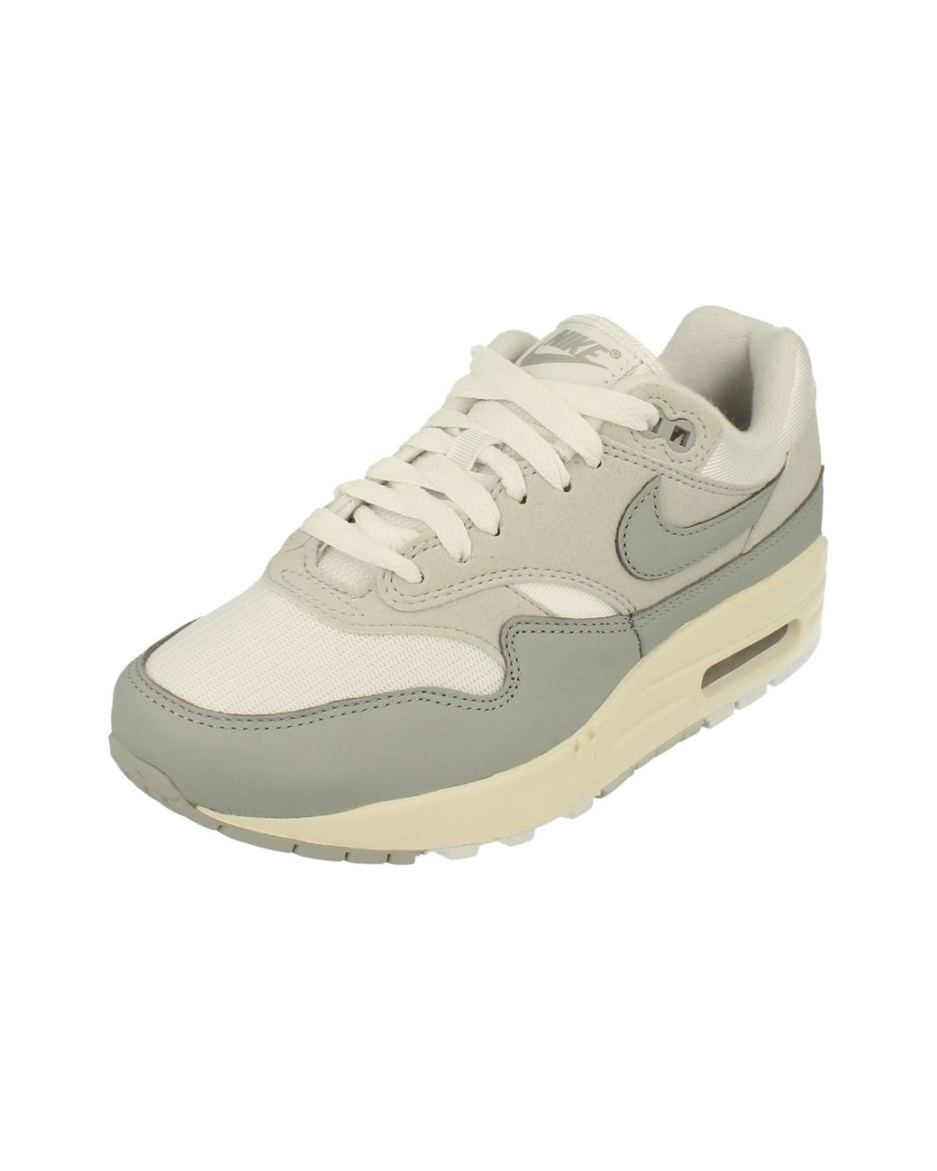 Nike Metallic Air Max 1 87 Running Trainers