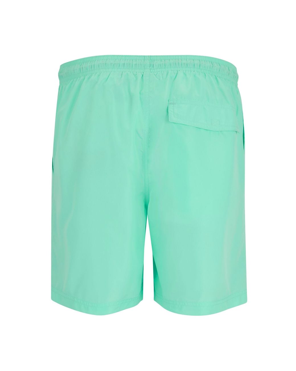 Regatta Green Mackleyna Swim Shorts (Ice) for men