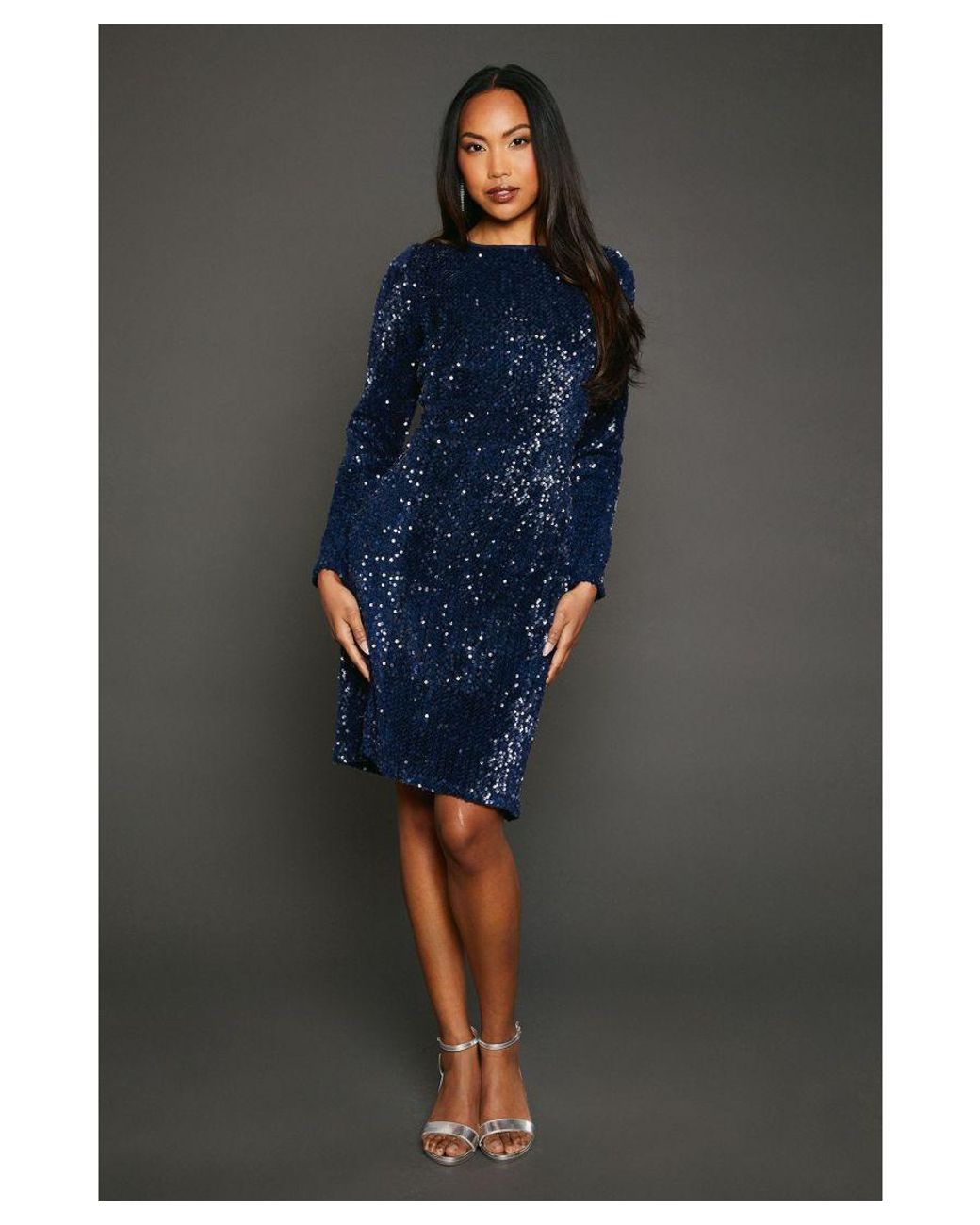 PRINCIPLES Blue Sequin Velvet Pencil Dress