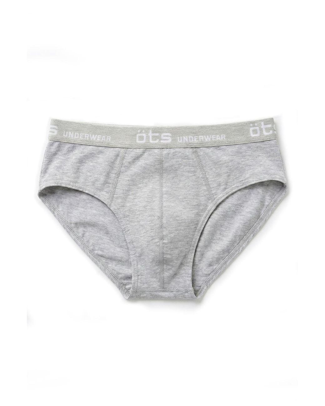 Öts Gray Briefs for men