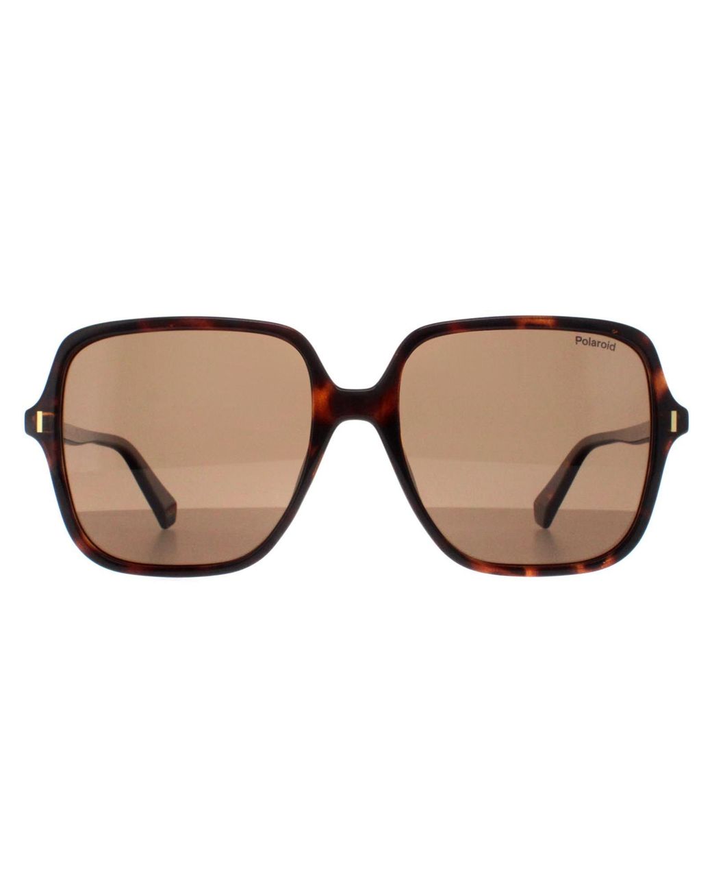 Polaroid Brown Square Frame Polarized Sunglasses