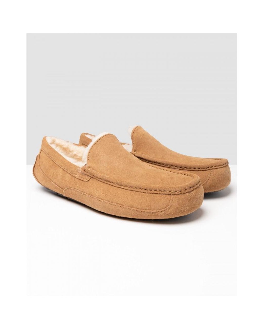 Ugg White Ascot Slipper for men