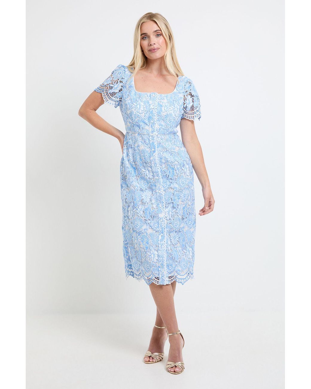 Wallis Blue Petite Contrast Lace Button Midi Dress