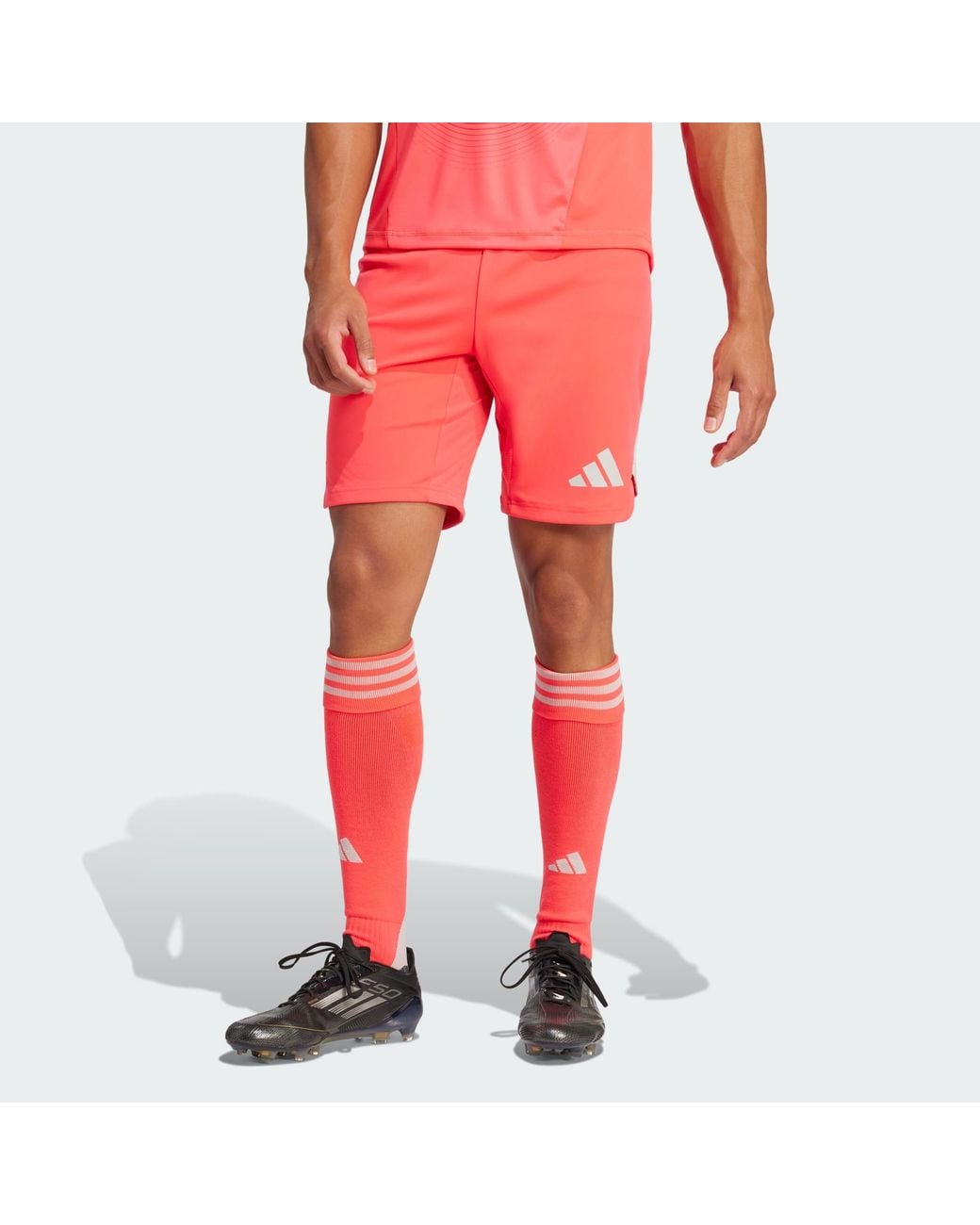 Adidas Originals Red Tiro 25 Pro Goalkeeper Shorts for men