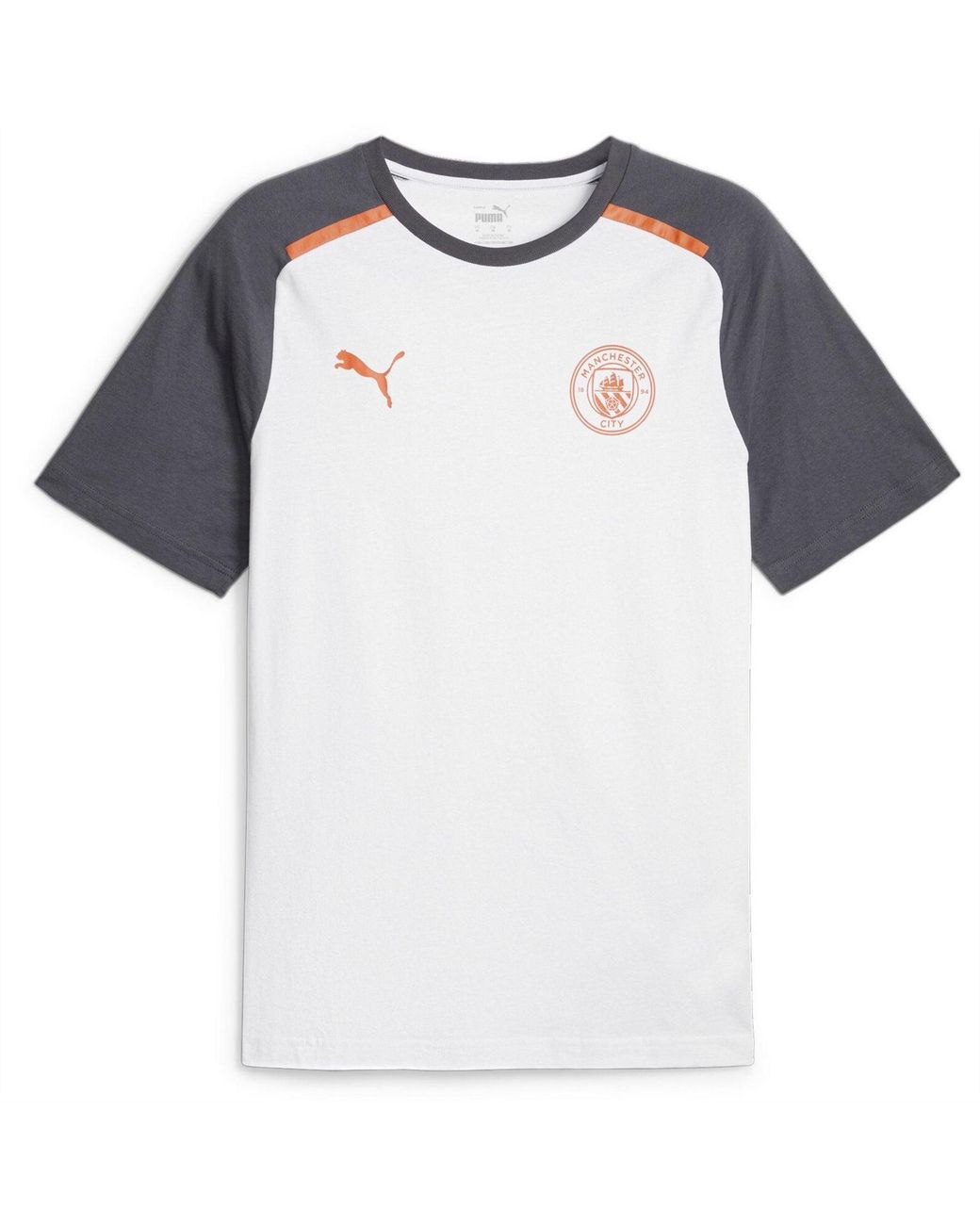 PUMA Blue Casuals Tee T Shirt for men