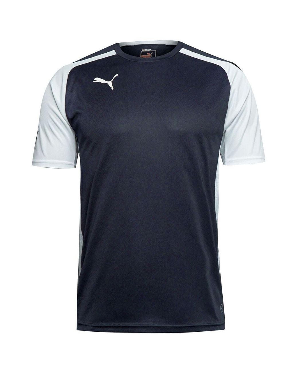 PUMA Blue Drycell T-Shirt for men