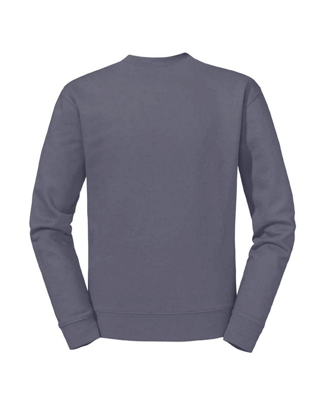 Russell Blue Brushed Fleece Raglan Sweatshirt for men