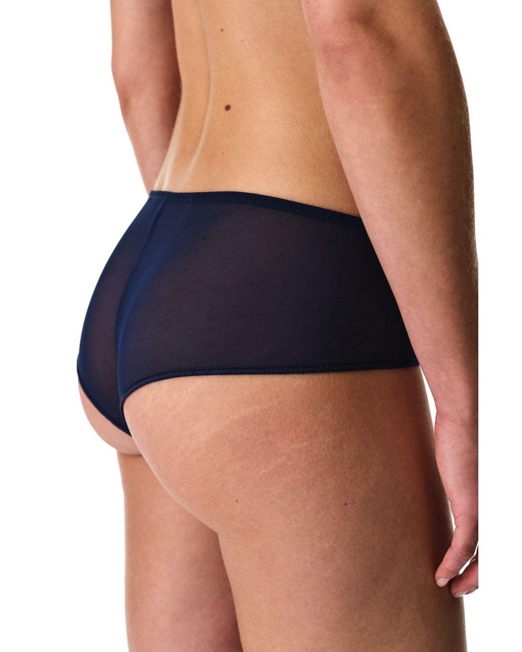 Penti Blue Embroidered Floral Hipster Briefs