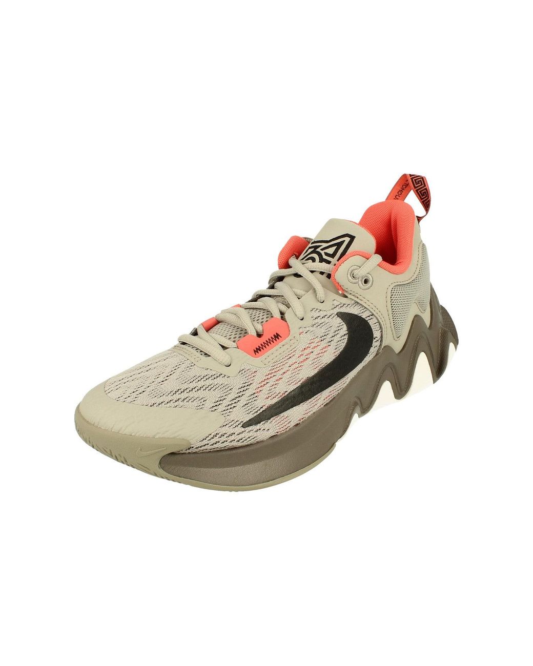 Nike Brown Giannis Immortality 2 Basketball Trainers for men