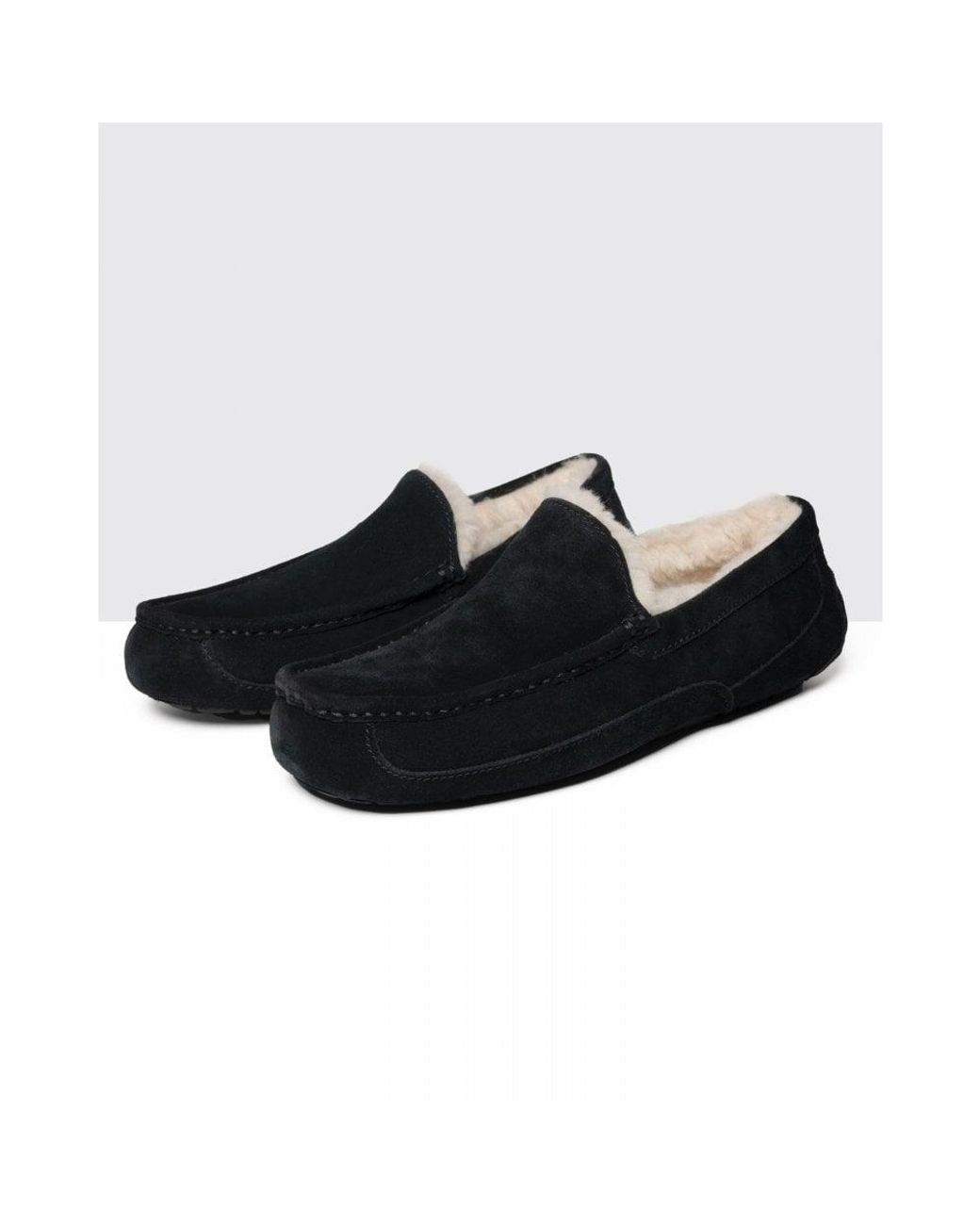 Ugg White Ugg Ascot Slipper for men