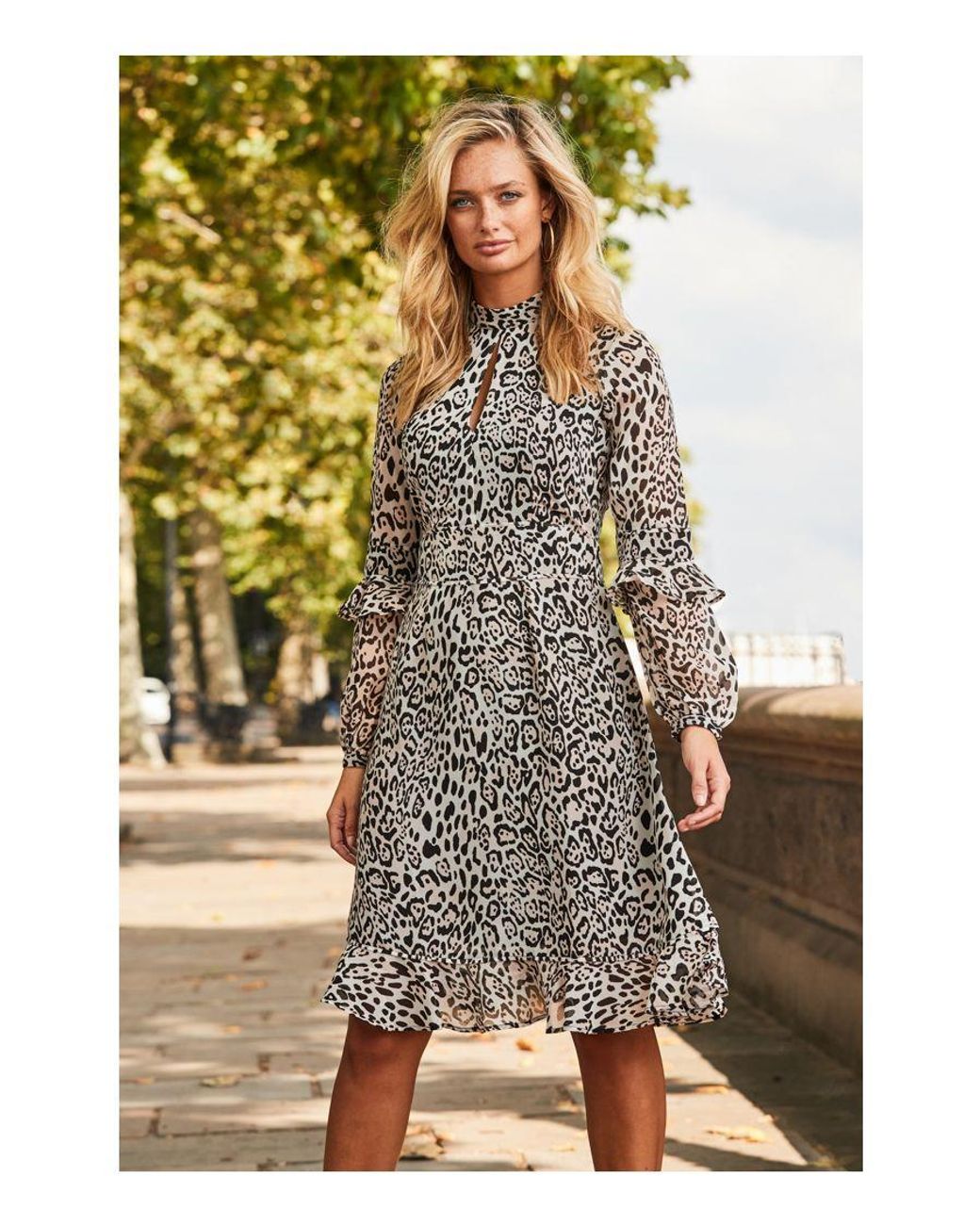 Sosandar Multicolor Leopard Print Fit & Flare Ruffle Dress