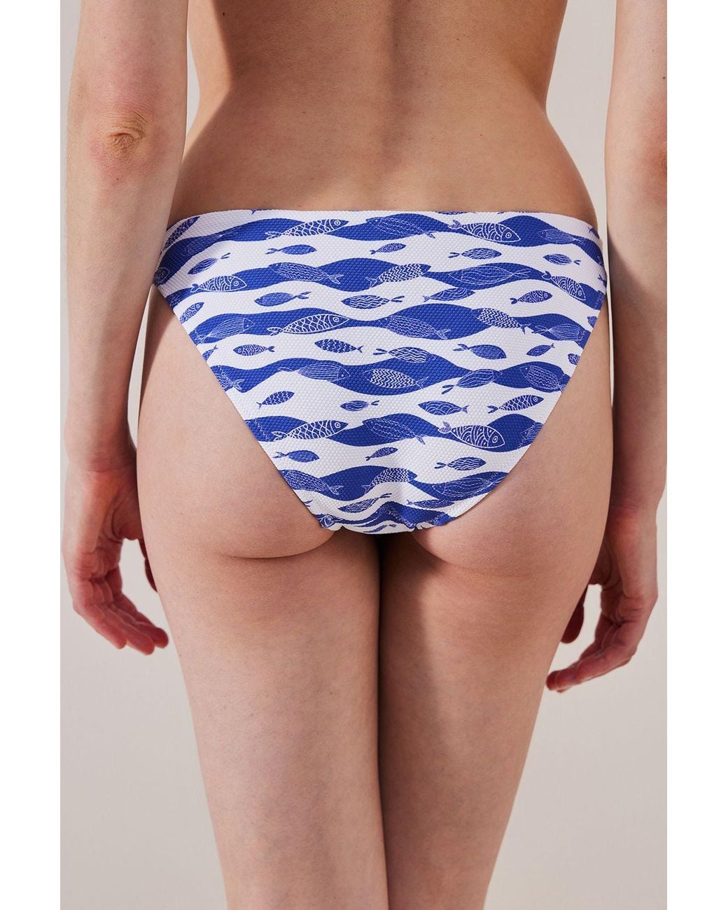 Penti Blue Printed Mid-Waist Bikini Bottoms