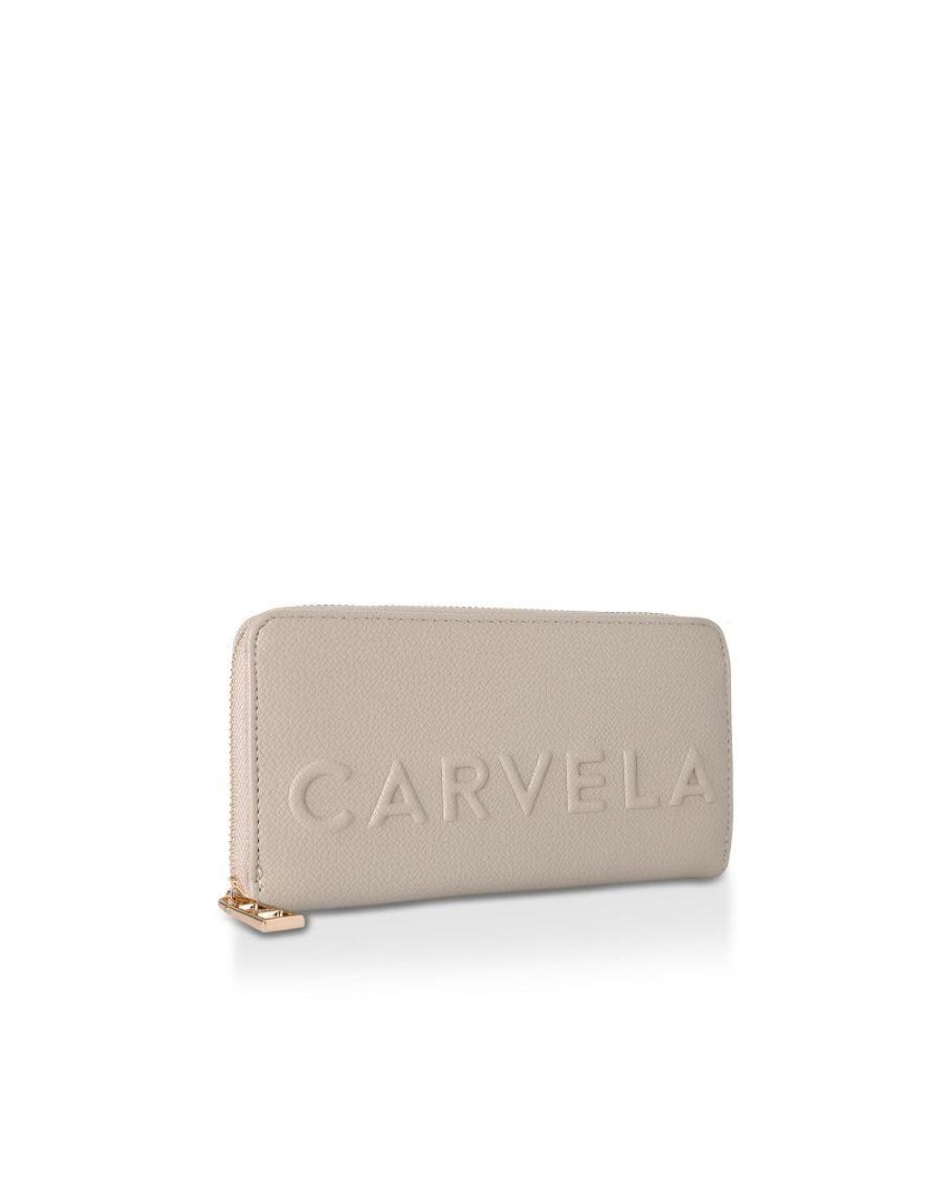 Carvela Kurt Geiger Gray Frame Purse