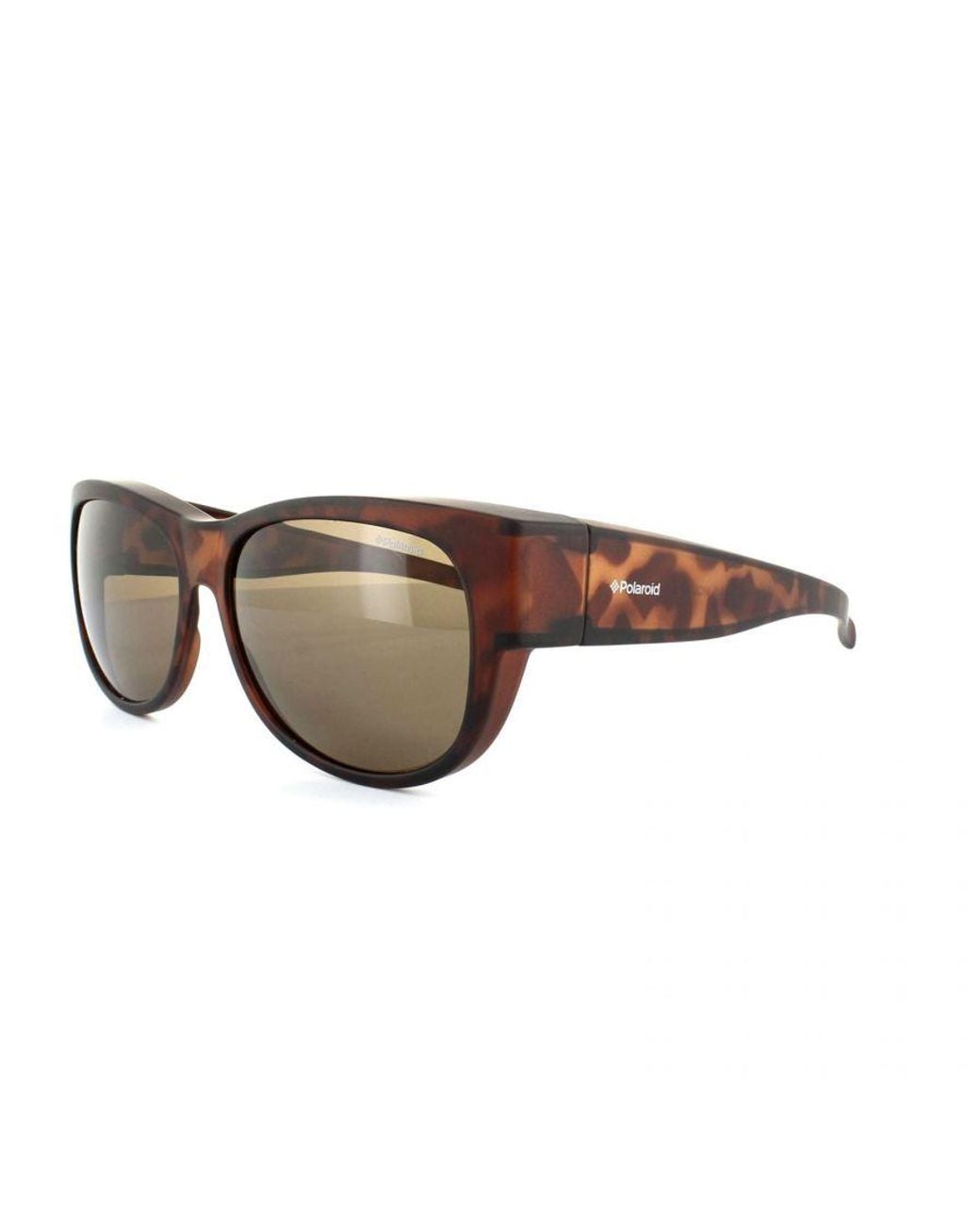 Polaroid Brown Suncovers Oval Dark Havana Polarized Sunglasses