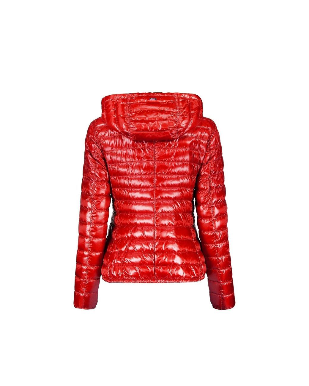 Herno Donsjack in het Red