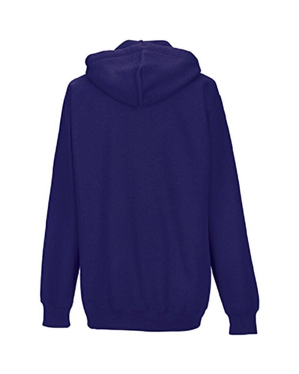 Russell Blue Colour Hooded Sweatshirt Hoodie for men