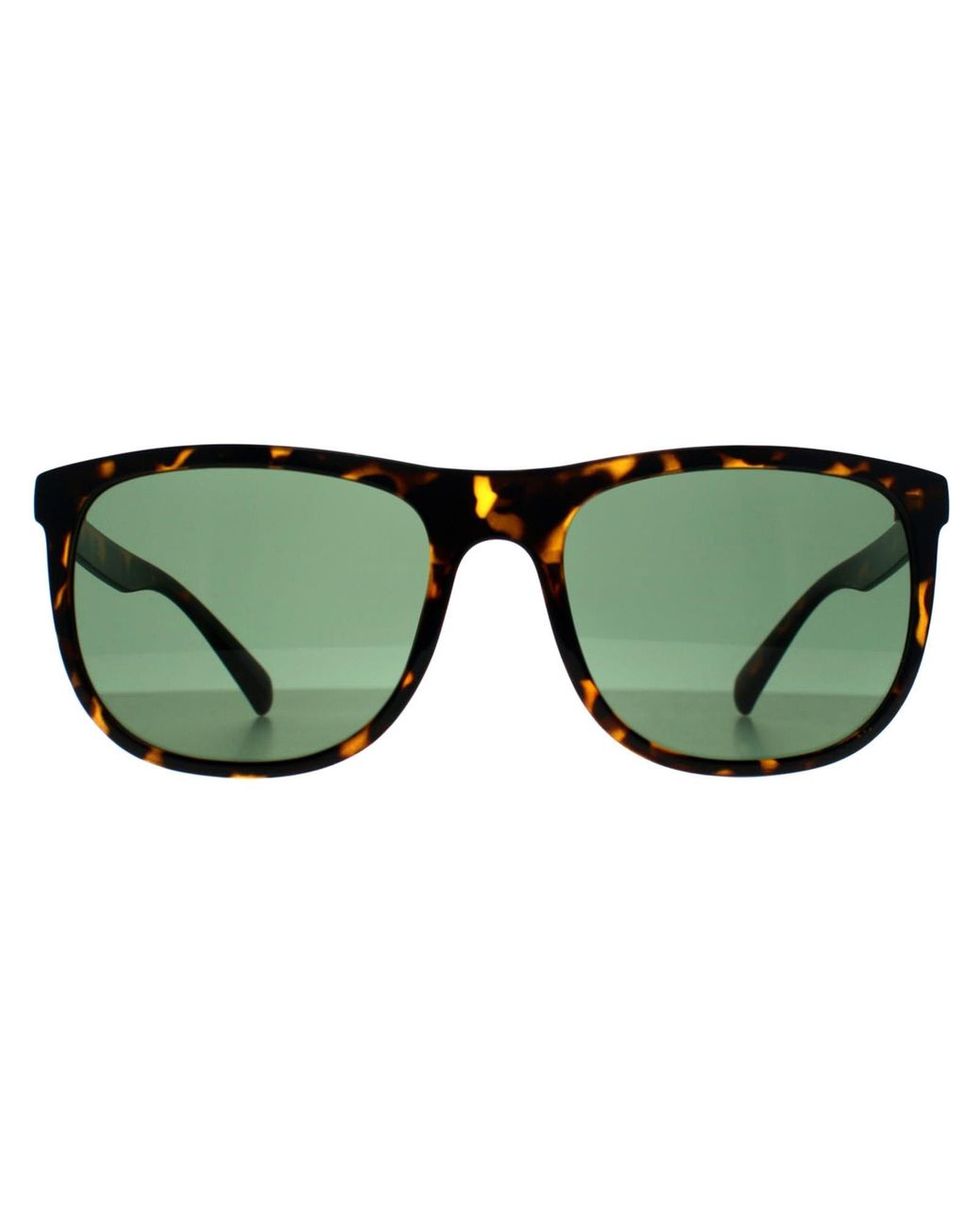 Calvin Klein Green Square Shiny Havana Ck22557S