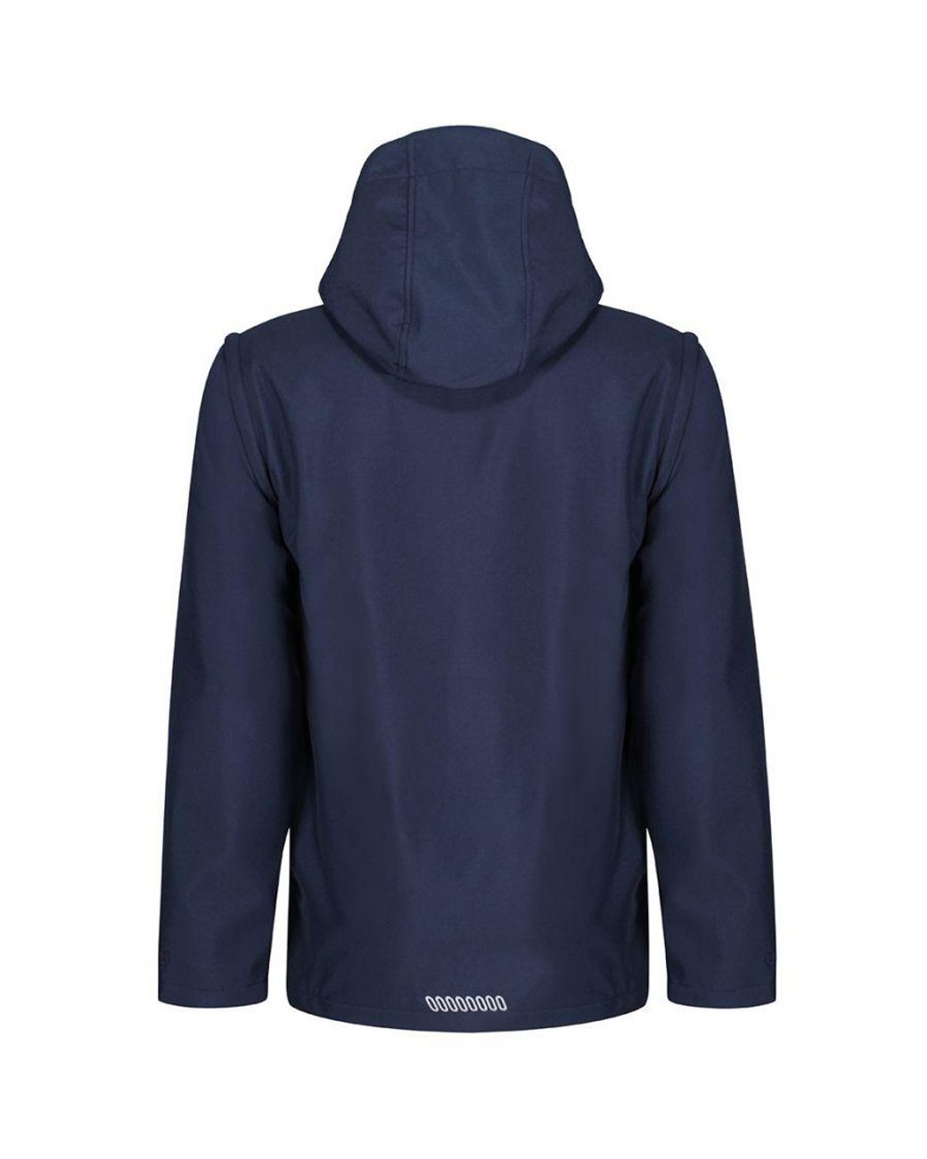 Regatta Blue Erasmus 4 for men