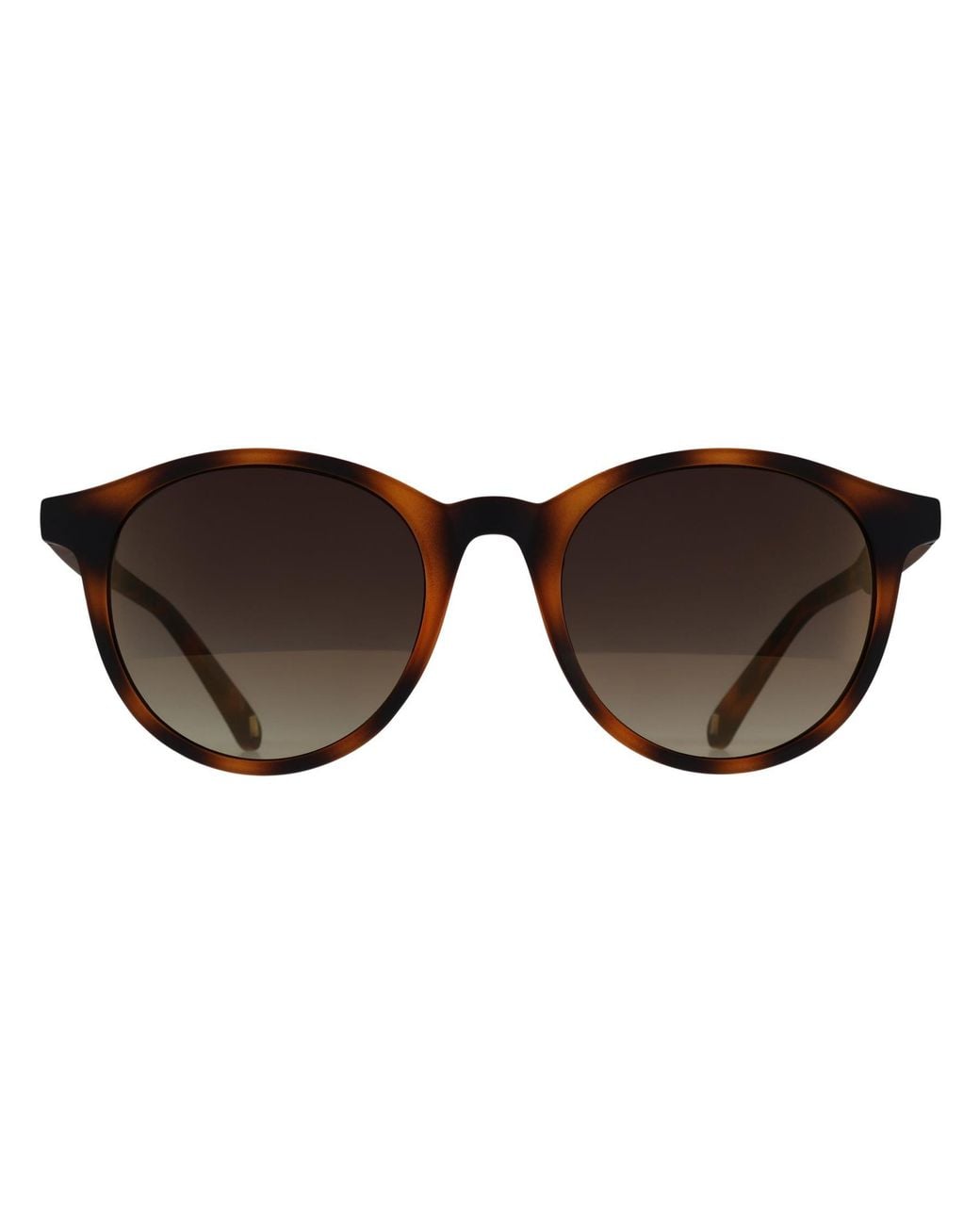 Ted Baker Brown Round Tortoiseshell Gradient Tb1503 Odell