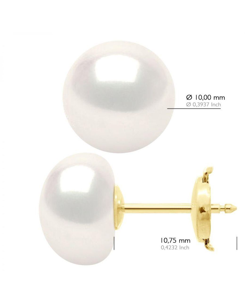 Ateliers Saint Germain White Earrings