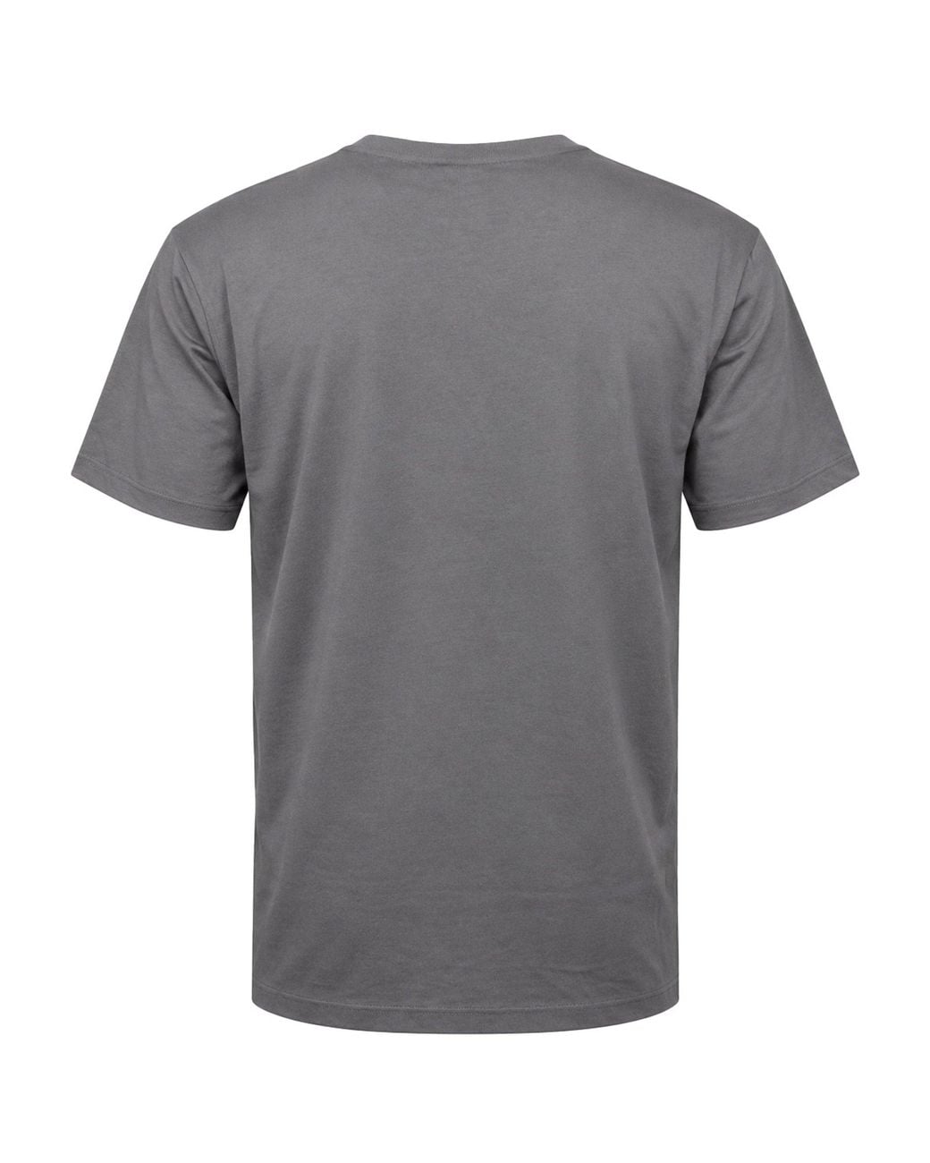 The North Face Gray Table T-Shirt Cotton for men