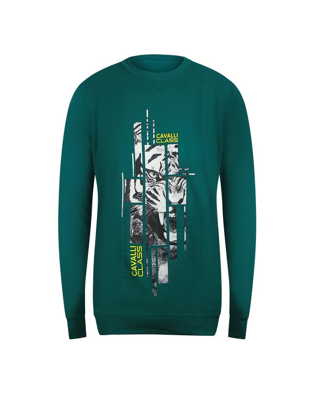Roberto Cavalli Green Splintered Tiger Graphic Ottanio Sweatshirt Cotton for men