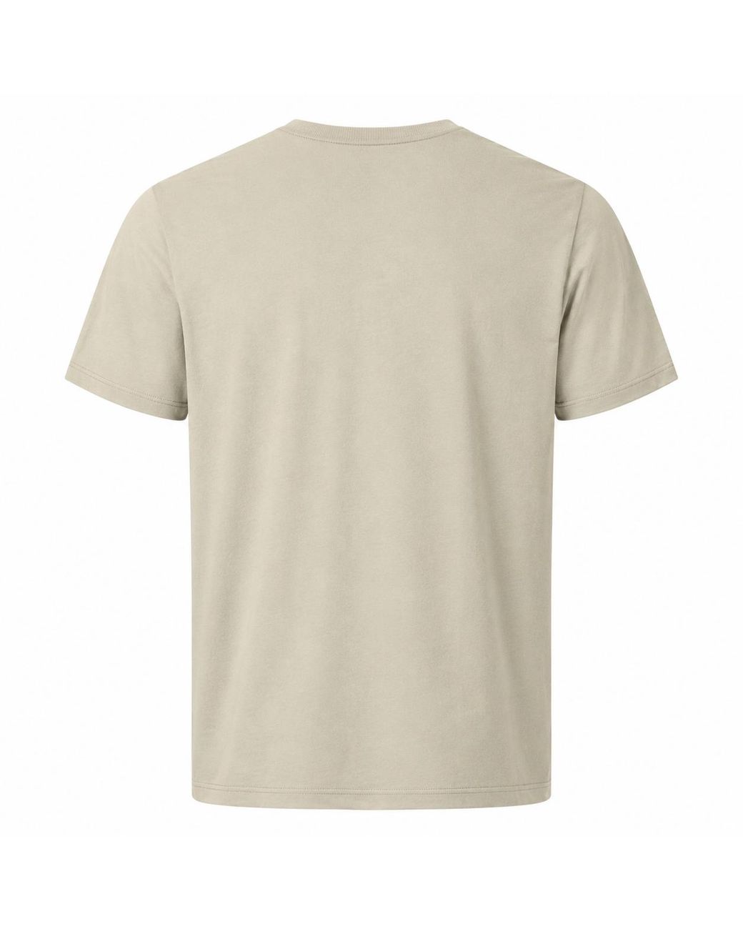The North Face Natural Centre Logo T-Shirt Cotton for men