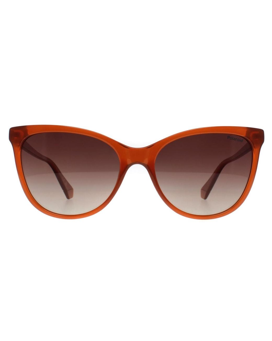 Polaroid Brown Cat Eye Ochre Gradient Polarized Pld 4179/S