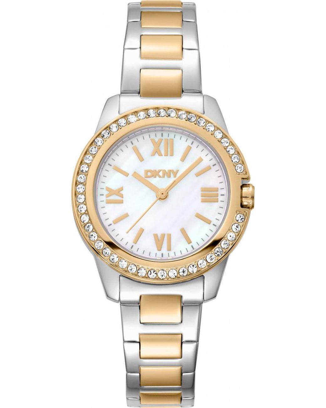 DKNY Metallic Dk1L105M0085 Ladies Watch