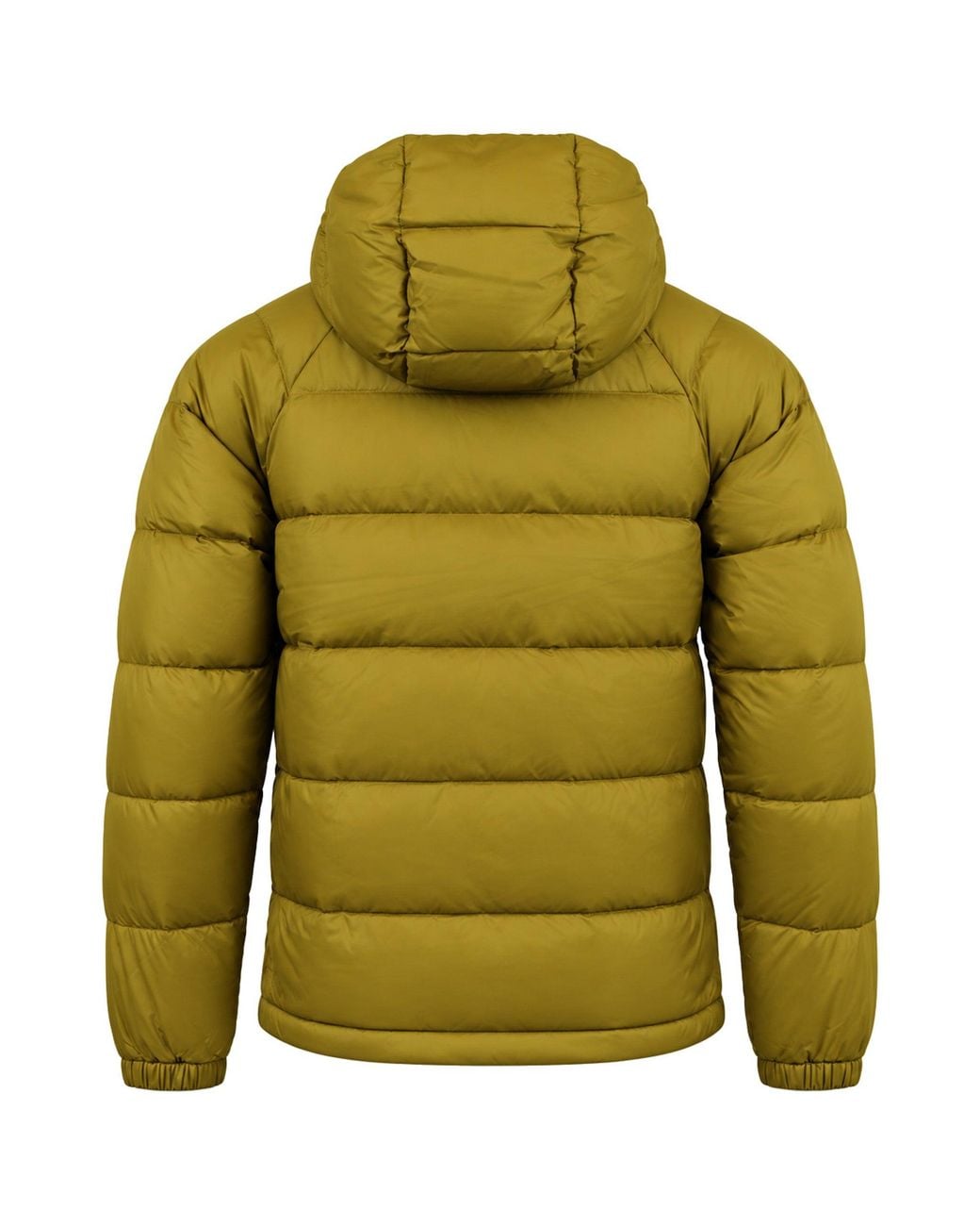 The North Face Green Hydrenalite Padded Jacket for men