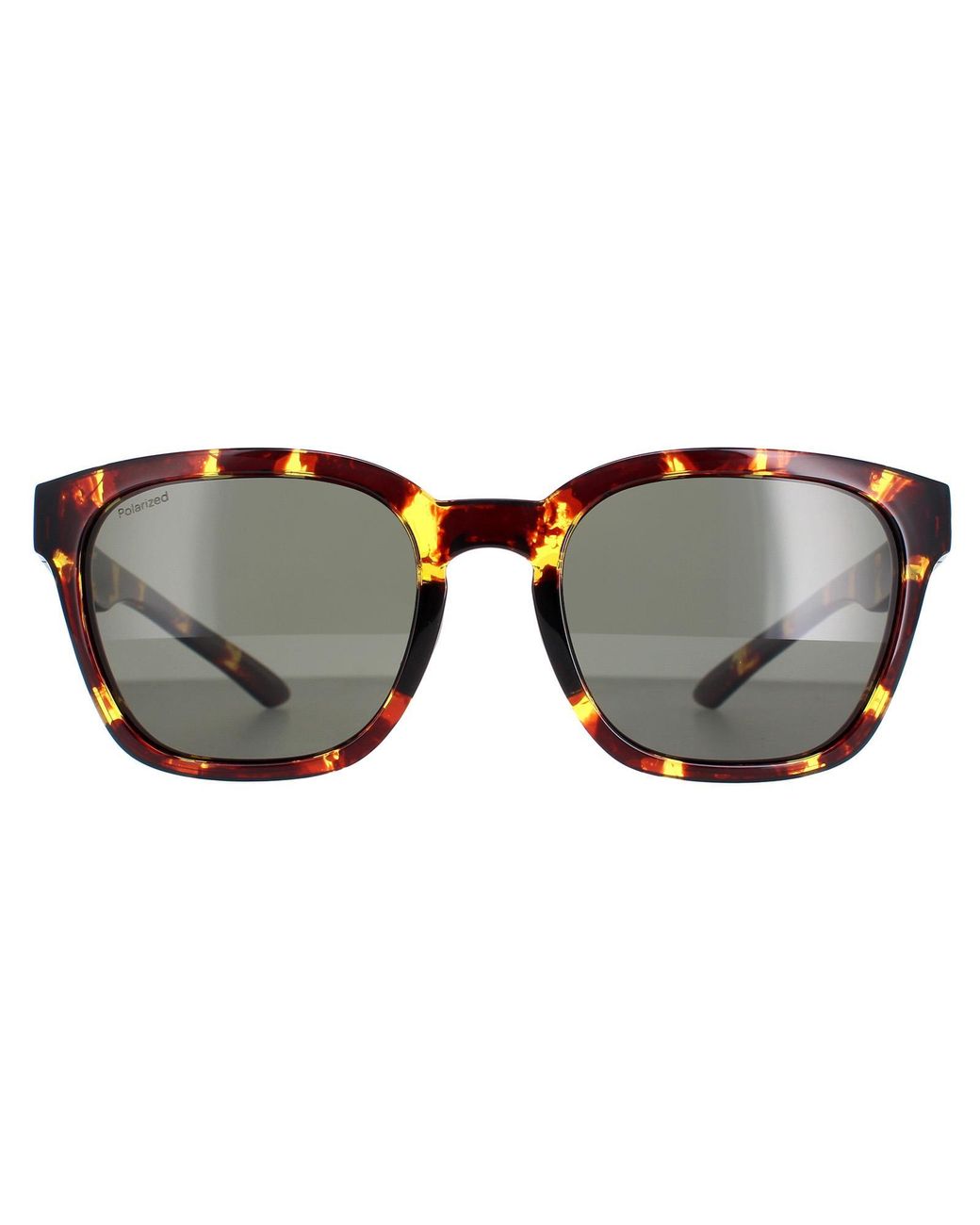 Smith Brown Square Tortoise Polarized Founder Slim for men