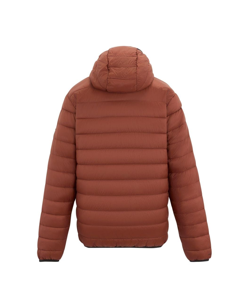 Regatta Brown Marizion Baffled Hooded Padded Jacket (Burnt Henna) for men