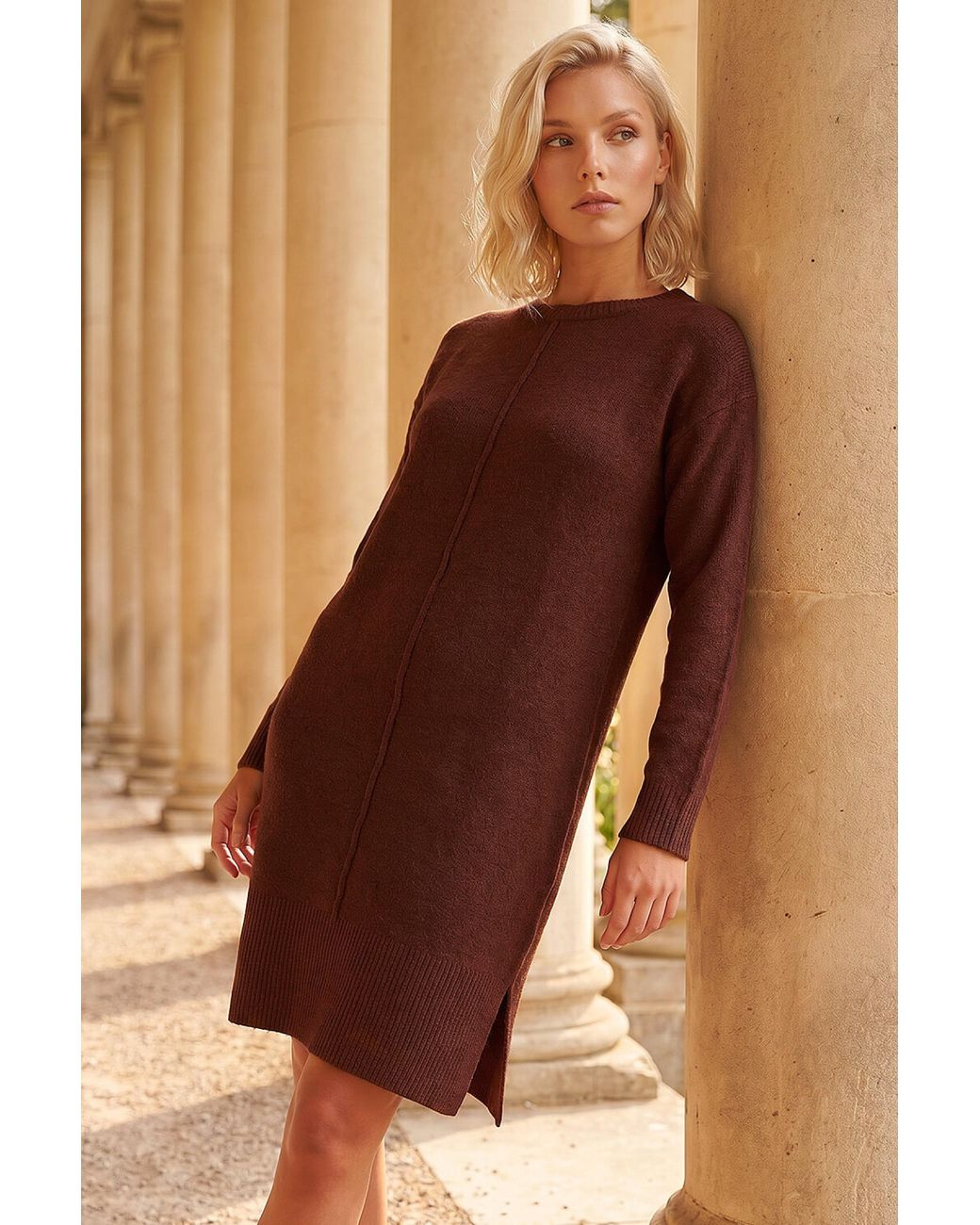 Roman Brown Petite Knitted Pintuck Shift Dress